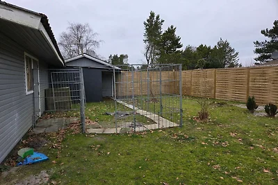 4 Sterne Ferienhaus in Hals