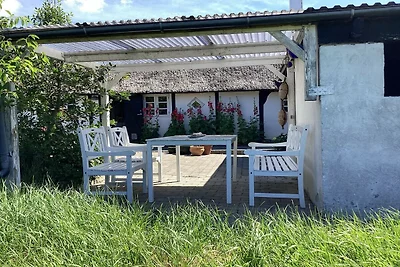 4 Sterne Ferienhaus in Læsø