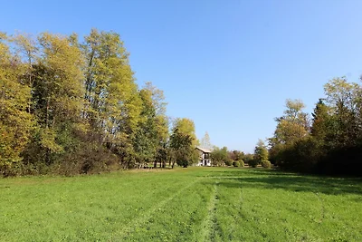 Haus zwischen dem Fluss Piave und den Bellune...