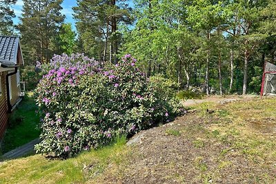 6 Personen Ferienhaus in Djurhamn