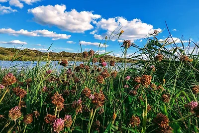 20 Personen Ferienhaus in Nørre Nebel