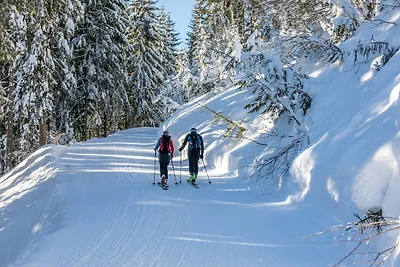 Vacanza con vista sulle montagne a Mittersill
