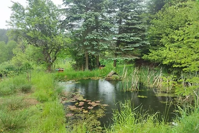Chalet mit Gartenblick bei Amerongse Berg