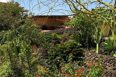Tropican nell'oasi di benessere Tropical