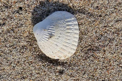 6 persone case ad Store Fuglede-By Traum