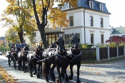 “Vista sui vigneti” nella Haus Felix