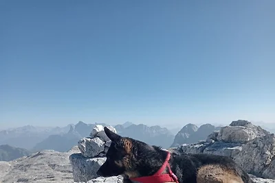 Dolomites trentino