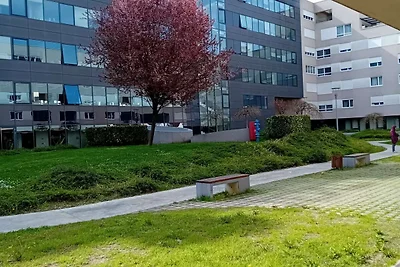 Apartments Cankareva