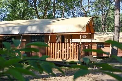 Ferienhaus in Otterlo mit Terrasse