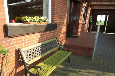 Ferienhaus in Balje mit Wifi