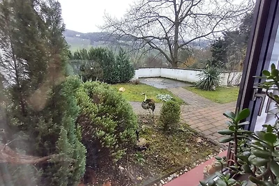 Ferienhaus in Wehlen mit Moselblick