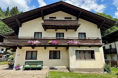 Ferienhaus a Saalbach-Hinterglemm