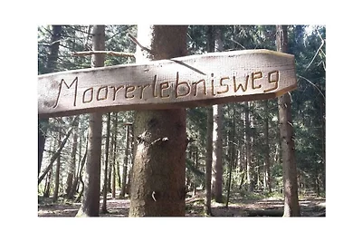 Apartament wakacyjny z 1 sypialnią