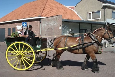 Vakantiehuis met 3 slaapkamers