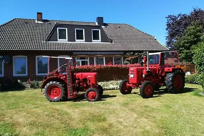 Jessen Komfortable Ferienresidenz