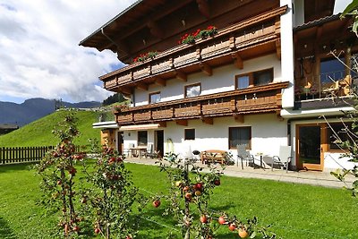 Wohnung in Hippach im Zillertal in den Bergen