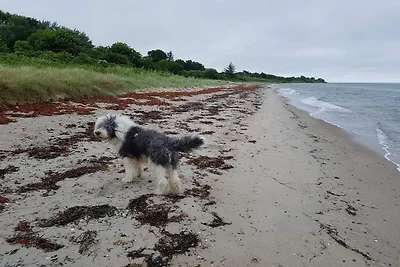 8 Personen Ferienhaus in Odder