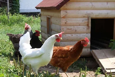 Kuća za odmor Dopust za oporavak Mittelberg