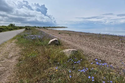 Nostalgische Inselidylle in Aâ€“land-By Traum