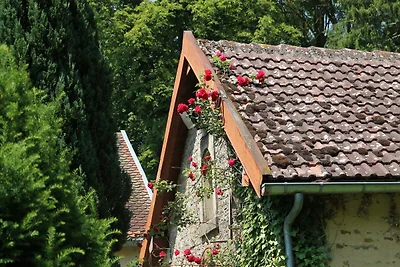 Schloss mit privatem Park und Tennisplatz
