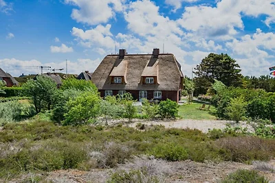 Dünenzauber Süderhörn