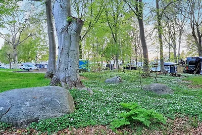 Casa vacanze Vacanza di relax Sölvesborg