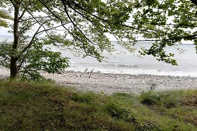 6 Personen Ferienhaus in Hornbæk-By Traum