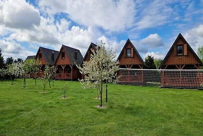 Ferienhaus in Kolczewo mit Pool