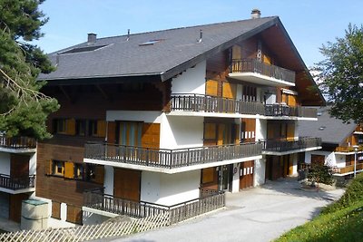 6-Gäste-Appartement in guter Lage