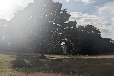 Ruim vakantiehuis met uitzicht op de fjord