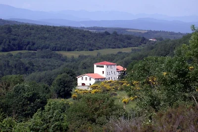 Syrah - Domaine La Flotte