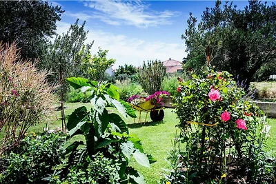 Two Bedroom Apartment with Balcony