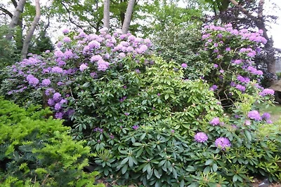 Witte berg aan de Bungeweg