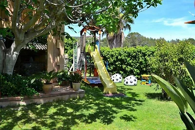 Villa a Binissalem con piscina e vigneto