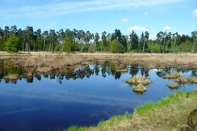 Zentraler Rückzugsort mit 3 Schlafzimmern in...