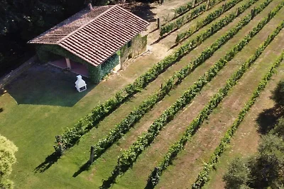 Ferienhaus Erholungsurlaub Pisa