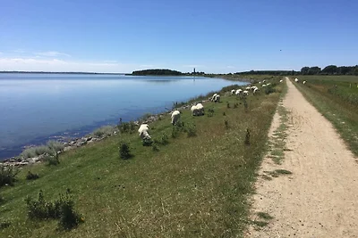 Appartamento per vacanze a Orth on Fehmarn