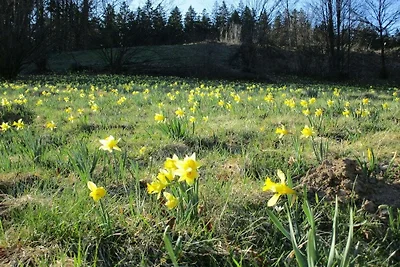 Ferienhaus Zum Vennbiber