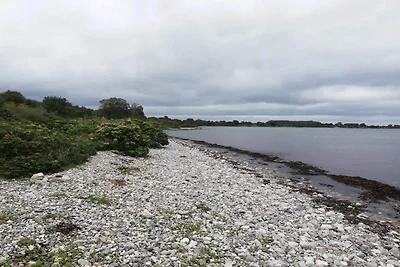 8 Personen Ferienhaus in Haderslev-By Traum