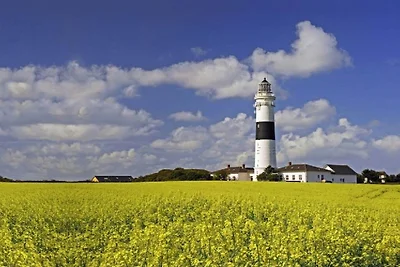 Ferienwohnung in Sylt mit 1 Schlafzimmer