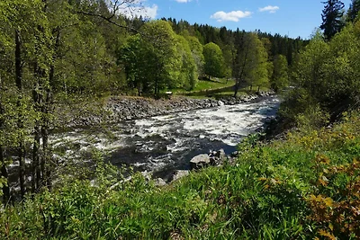 4 Personen Ferienhaus in BENGTSFORS-By Traum