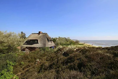 Casa vacanze su WATT, List su Sylt