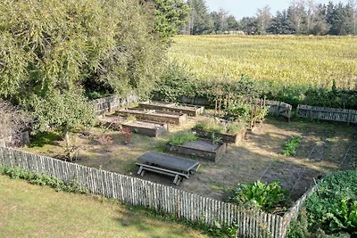 5 Sterne Ferienhaus in Ålbæk