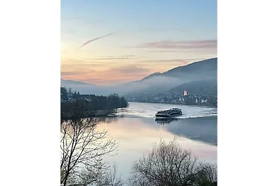 Ferienwohnung in Zell (Mosel) mit Balkon