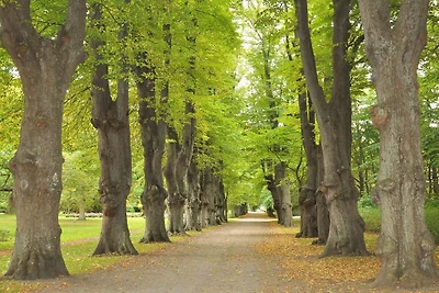 Charmantes Refugium auf Eno -- By Traum...