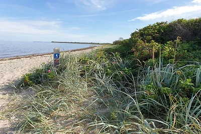 5 Sterne Ferienhaus in Bogense