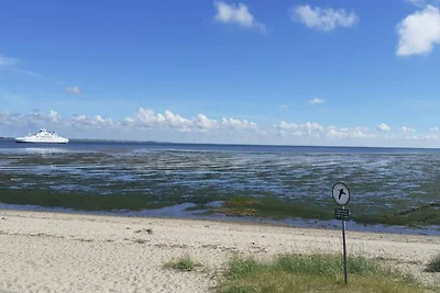 6 Personen Ferienhaus in Rømø-By Traum