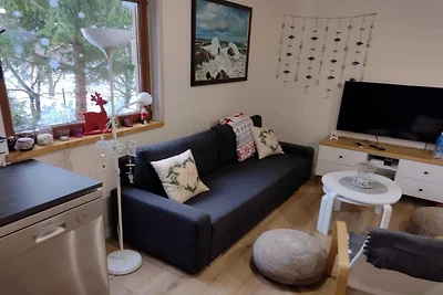 Ganzjähriges Ferienhaus mit Kamin, 3...