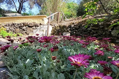 Casa de vacaciones en Torrox con piscina.