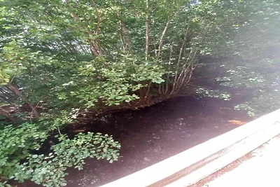 Chalet nei Vosgi vicino Rouge Gazon Sci